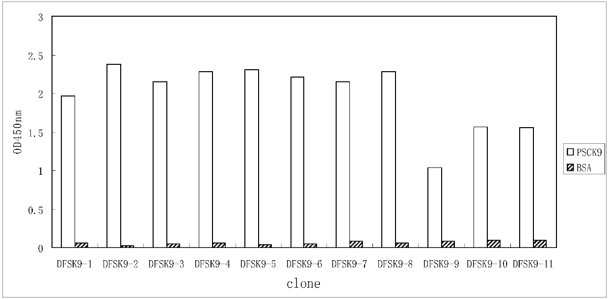 PCSK9 (Proprotein Convertase Subtilisin Kexin Type 9) resistant monoclonal antibody