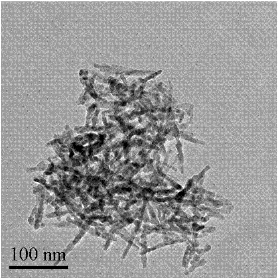 Specific-morphology Co3O4-loaded platinum catalyst and application thereof in low-carbon alcohol synthesis reaction through CO2 hydrogenation