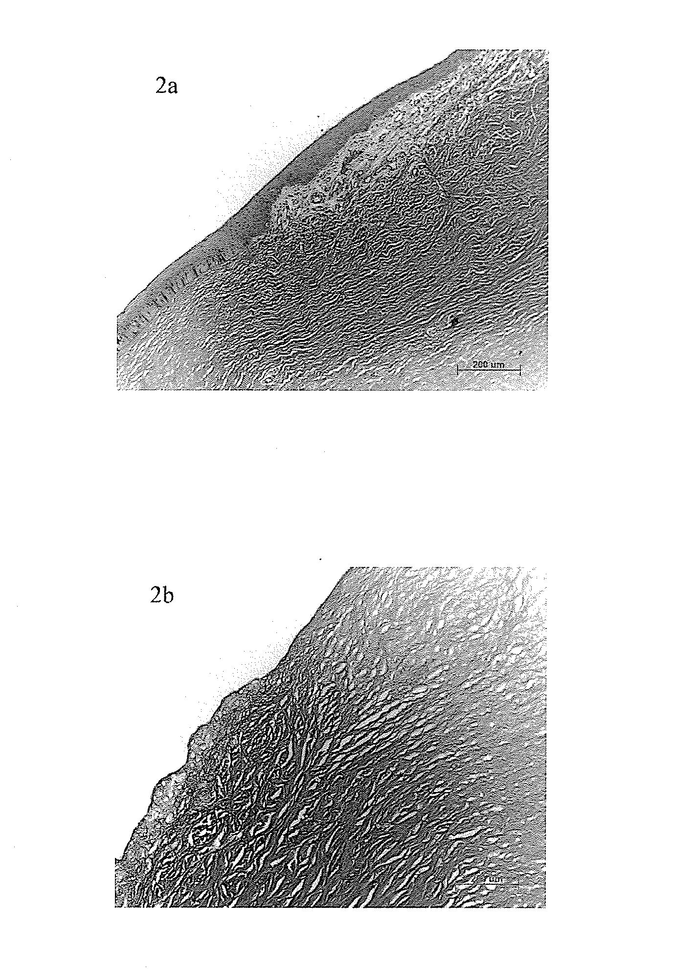 Method for preparing the decellularized matrix