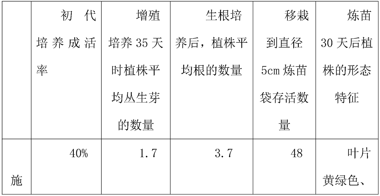 Tissue-culture rapid propagation method for Gentiana arethusae