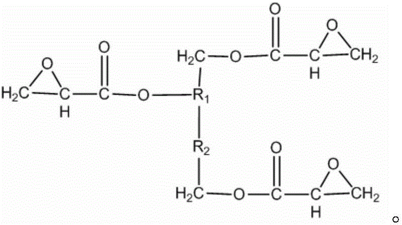 Multi-active functional group coating fortifier and preparing method thereof