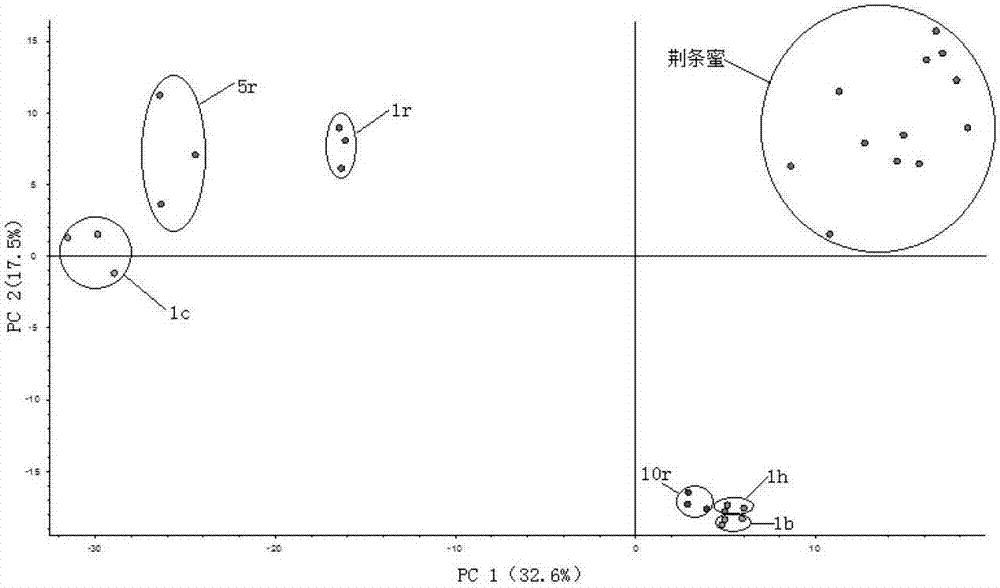 Analysis method for distinguishing real honey fromsyrup adulteratedhoney through chromatography mass spectrometry technology in combination with metabonomics method