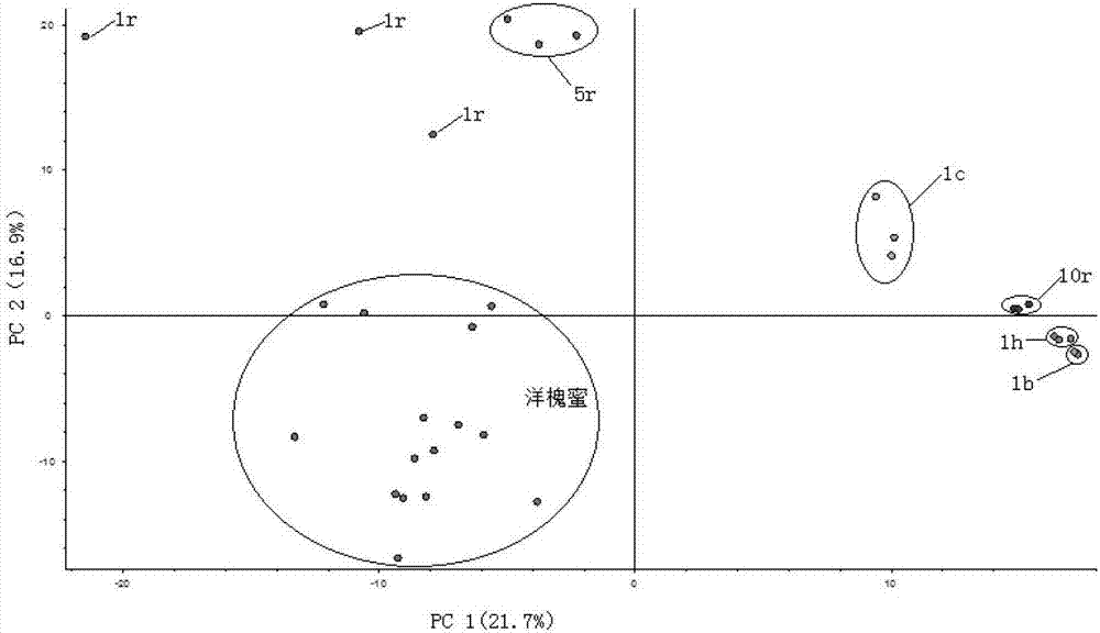 Analysis method for distinguishing real honey fromsyrup adulteratedhoney through chromatography mass spectrometry technology in combination with metabonomics method