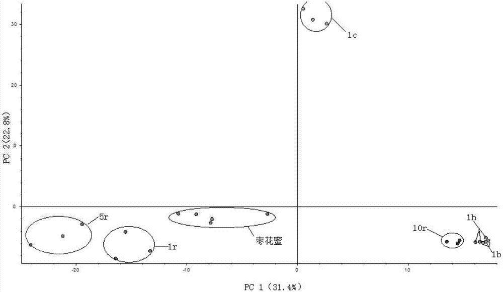 Analysis method for distinguishing real honey fromsyrup adulteratedhoney through chromatography mass spectrometry technology in combination with metabonomics method