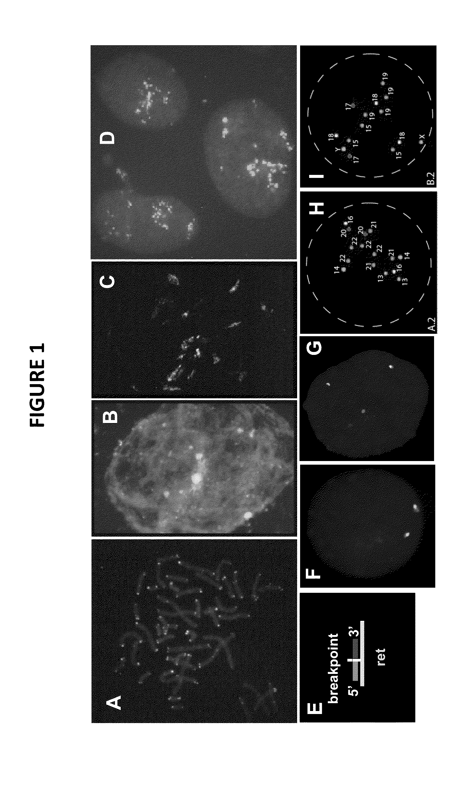 Genetic Barcodes