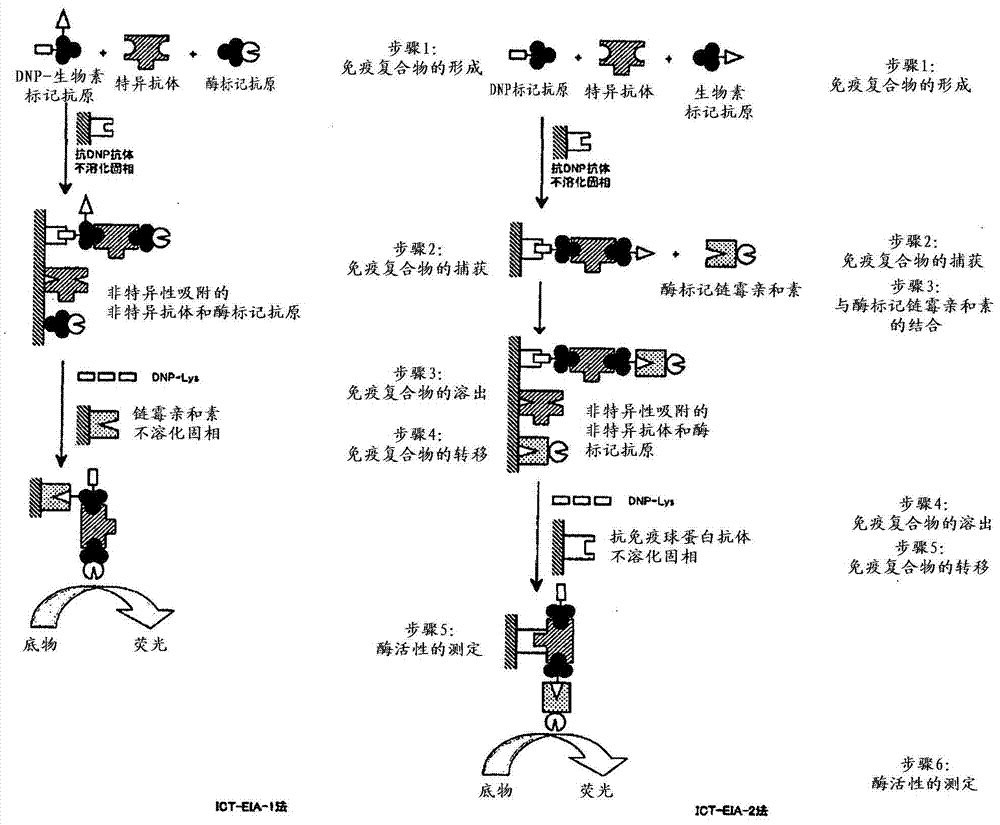 High-sensitivity measurement method of gad antibody as an early diagnosis index of type 1 diabetes