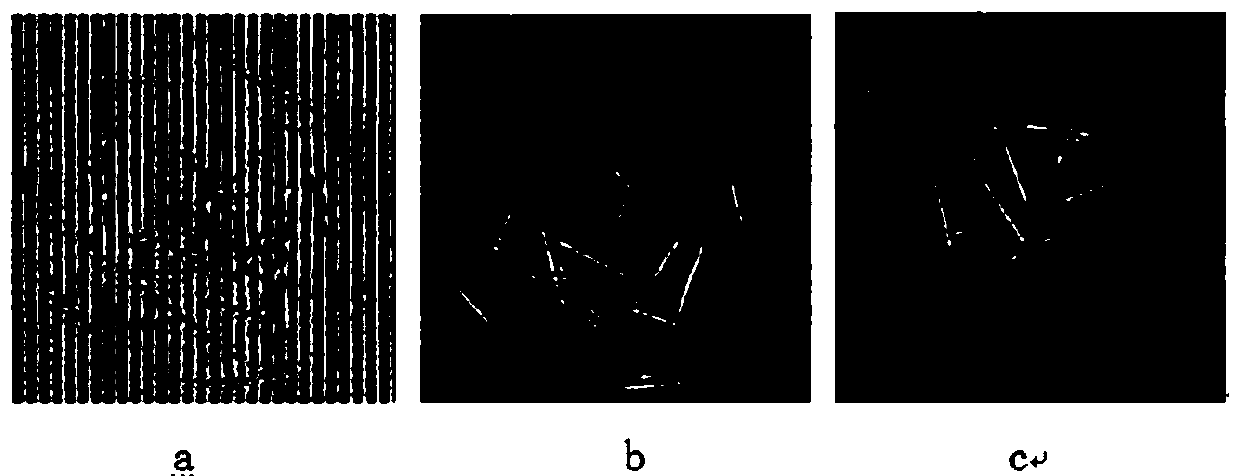 Digital holographic detection system of wafer laser ultrasonic field, and method thereof