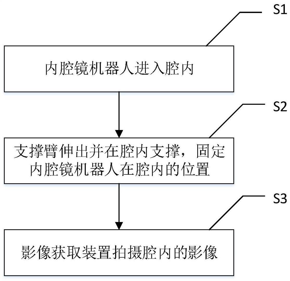 Endoscope robot and use method thereof