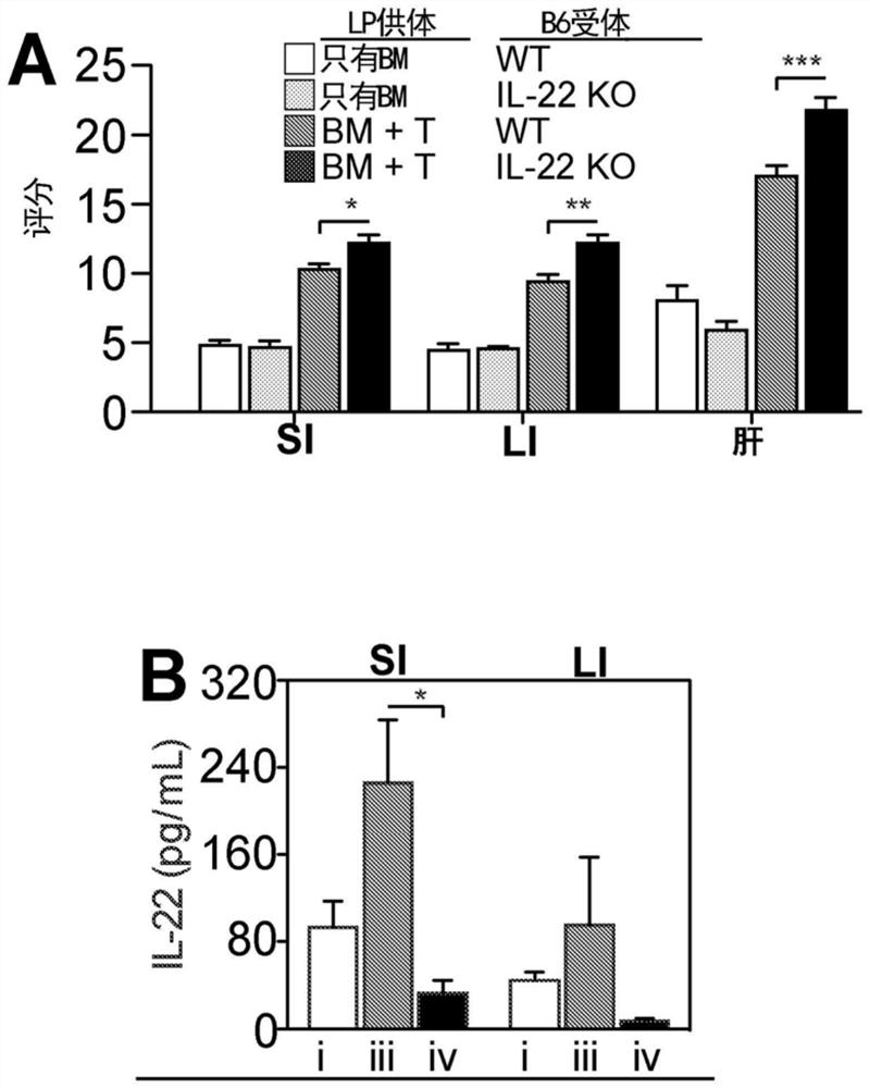 Methods of use for IL-22 in treatment of gastrointestinal graft vs. host disease