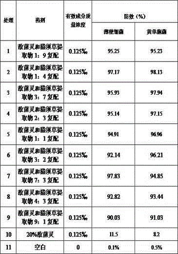 Anilazine and clerodendranthus spicatus extract containing bactericidal composition