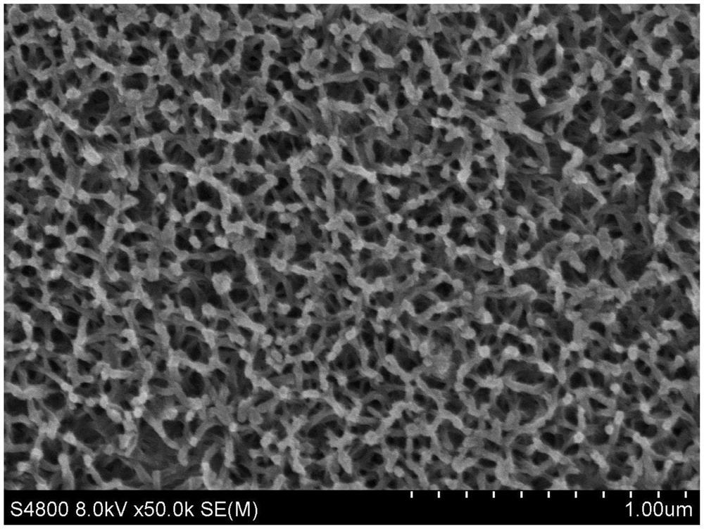 Method for growing titanium dioxide nano-particles on surface of titanium or titanium alloy substrate