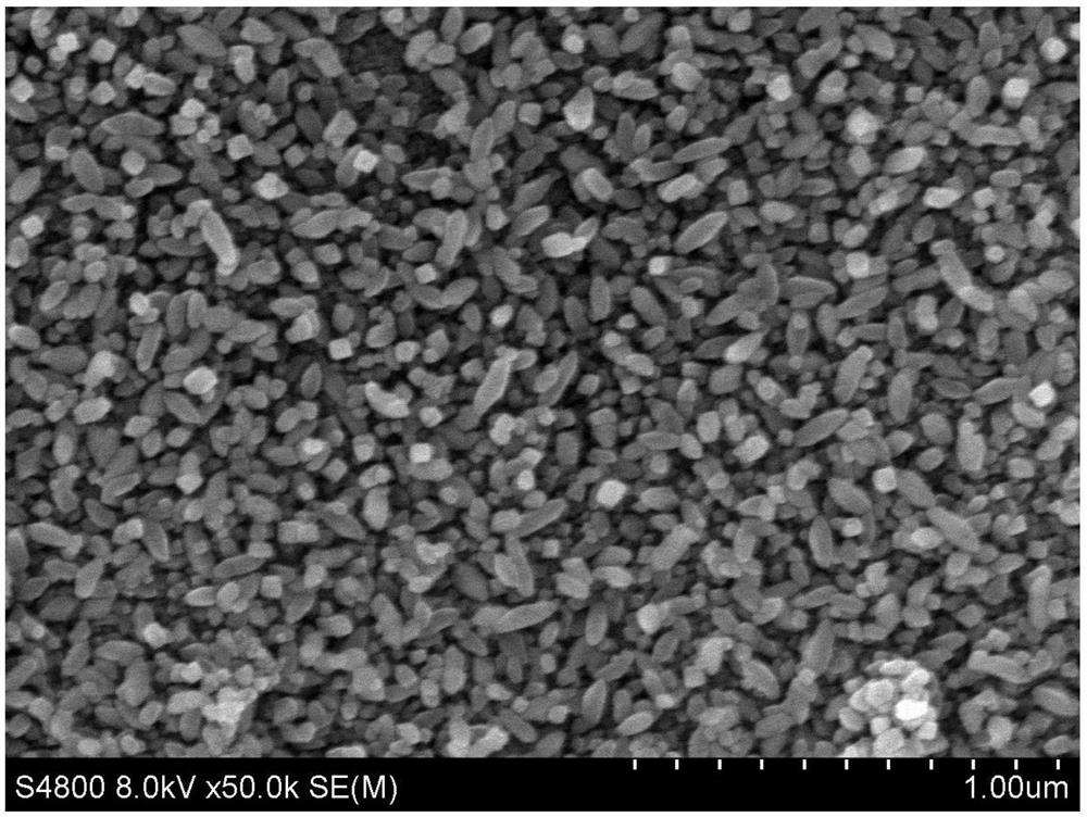 Method for growing titanium dioxide nano-particles on surface of titanium or titanium alloy substrate