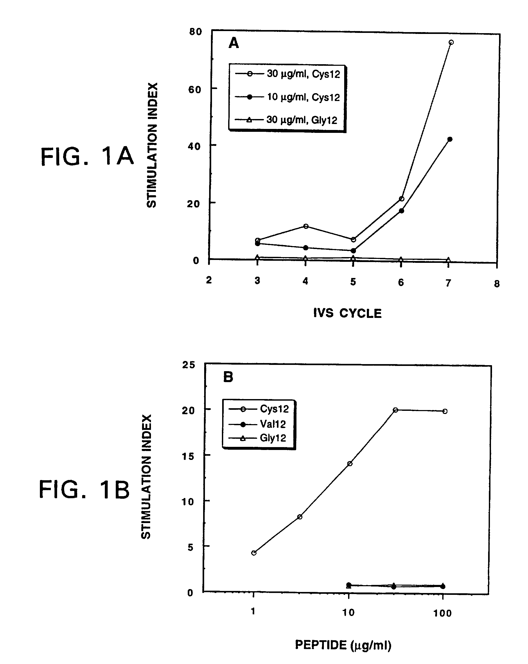 Mutated ras peptides for generation of cd8+ cytotoxic t lymphocytes