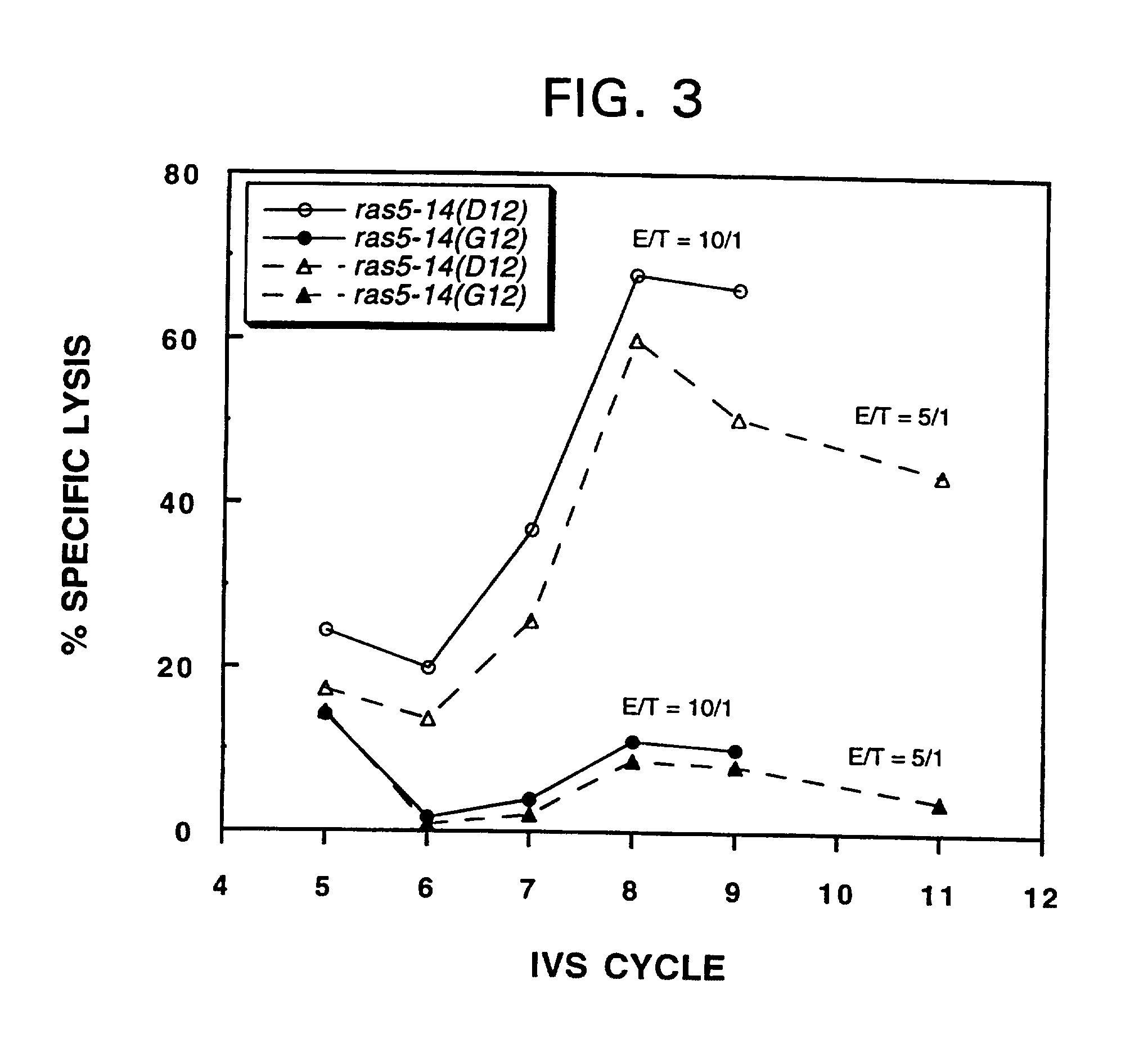 Mutated ras peptides for generation of cd8+ cytotoxic t lymphocytes