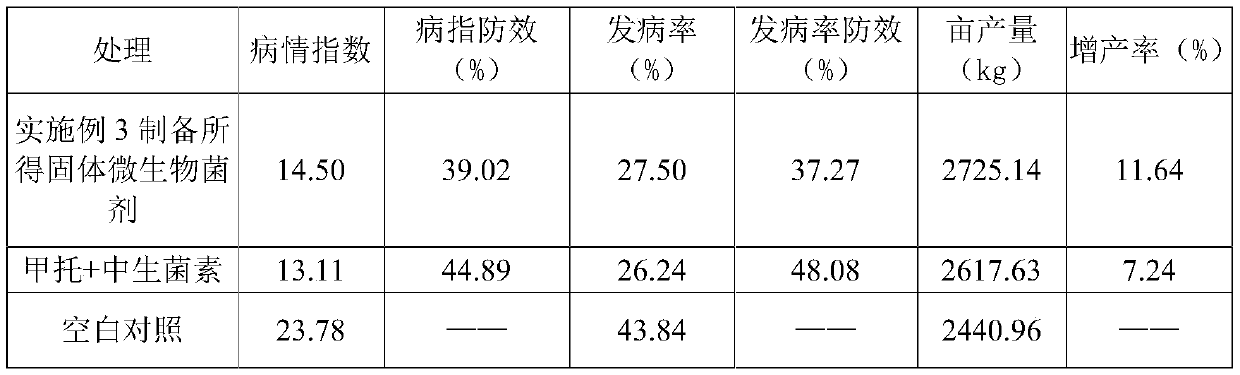 Solid microbial agent for preventing diseases and increasing yield of potatoes and preparation method