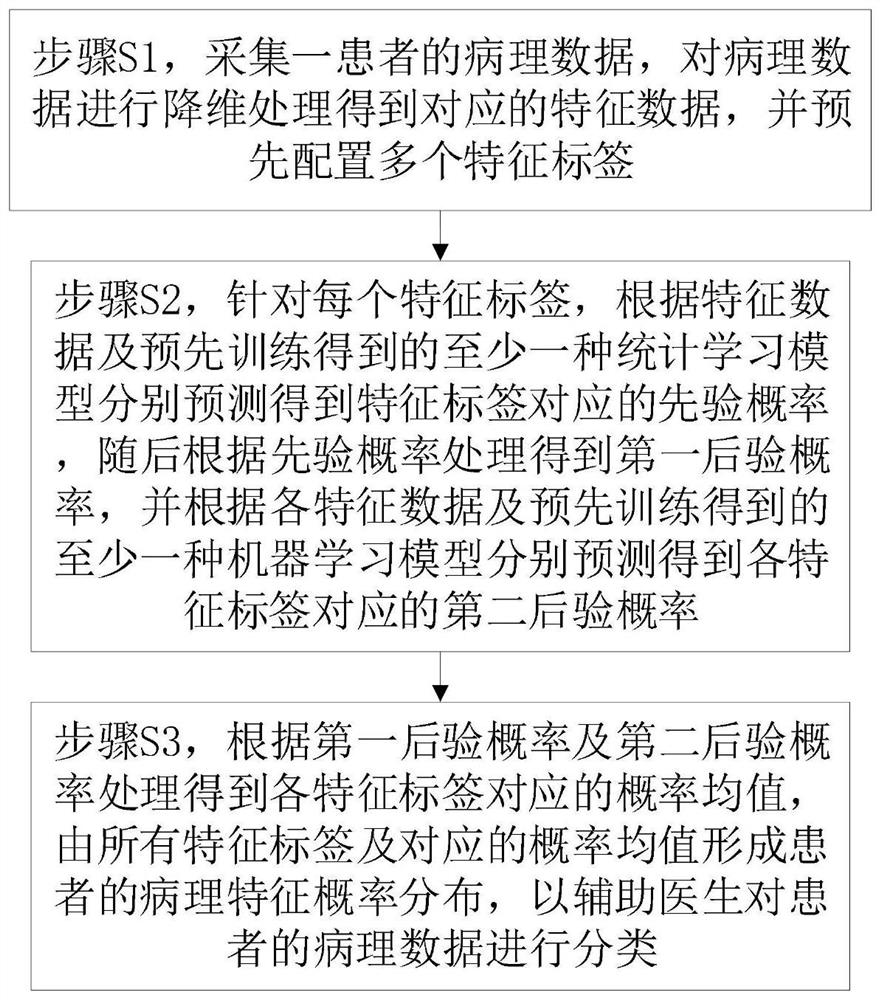 Pathological data-based pathological characteristic probability distribution prediction method and system