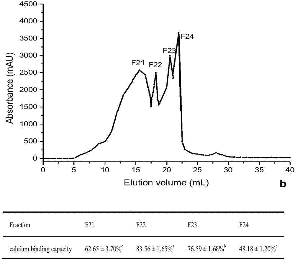 Method for preparing wheat germ polypeptides containing high-affinity calcium through electron beam irradiation in combination with enzyme method as well as separation and purification