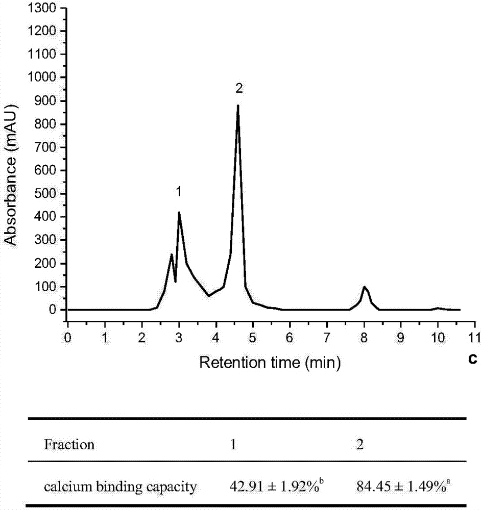 Method for preparing wheat germ polypeptides containing high-affinity calcium through electron beam irradiation in combination with enzyme method as well as separation and purification