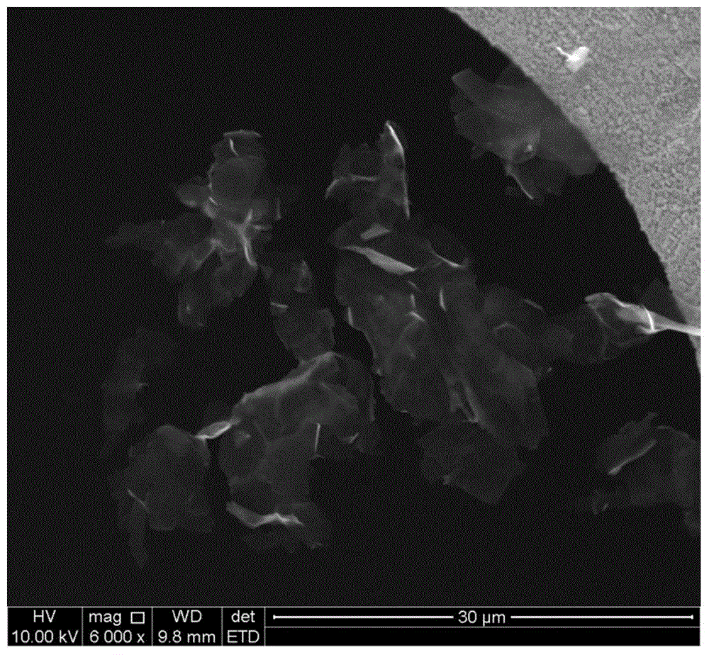 Water-borne graphene composite coating, and water-borne graphene composite paint and preparation method thereof