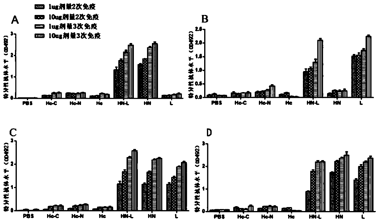 Preparation method and application of E type botulinum toxin recombinant HN-L antigen