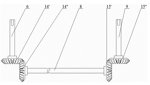 Power transmission device and method for male parent two-row rice transplanter for hybrid rice seed production