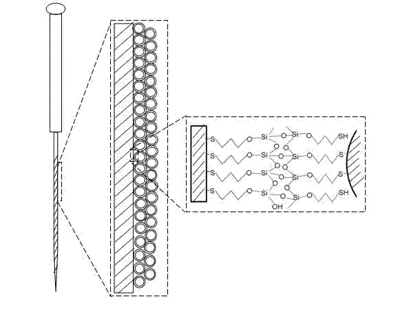 Detecting micro-needle with strengthened Raman and fluorescence signal and preparation method thereof