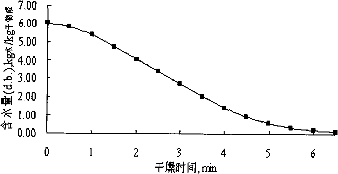 Foam drying method of blackcurrant mashed fruit