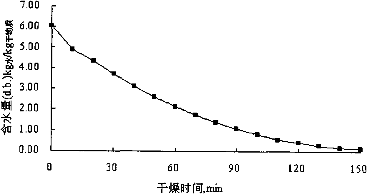 Foam drying method of blackcurrant mashed fruit