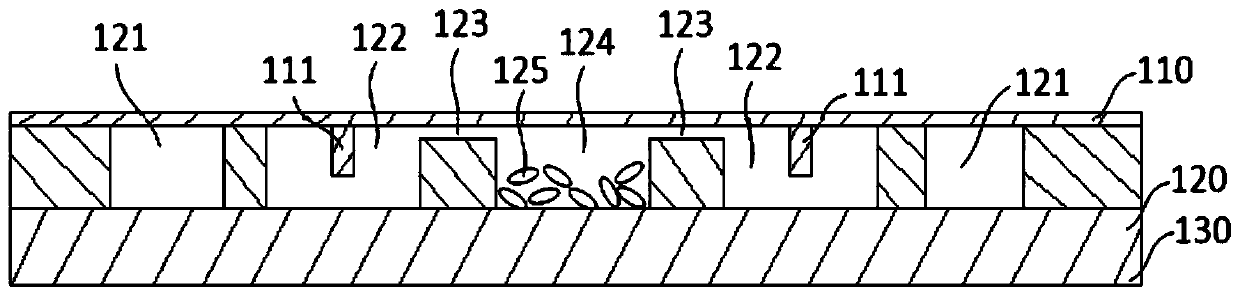 Biomolecule detection chips and detection system based on optical flow control