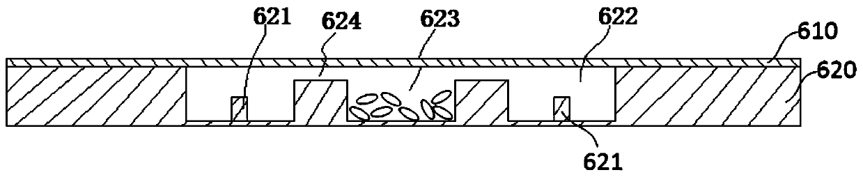 Biomolecule detection chips and detection system based on optical flow control