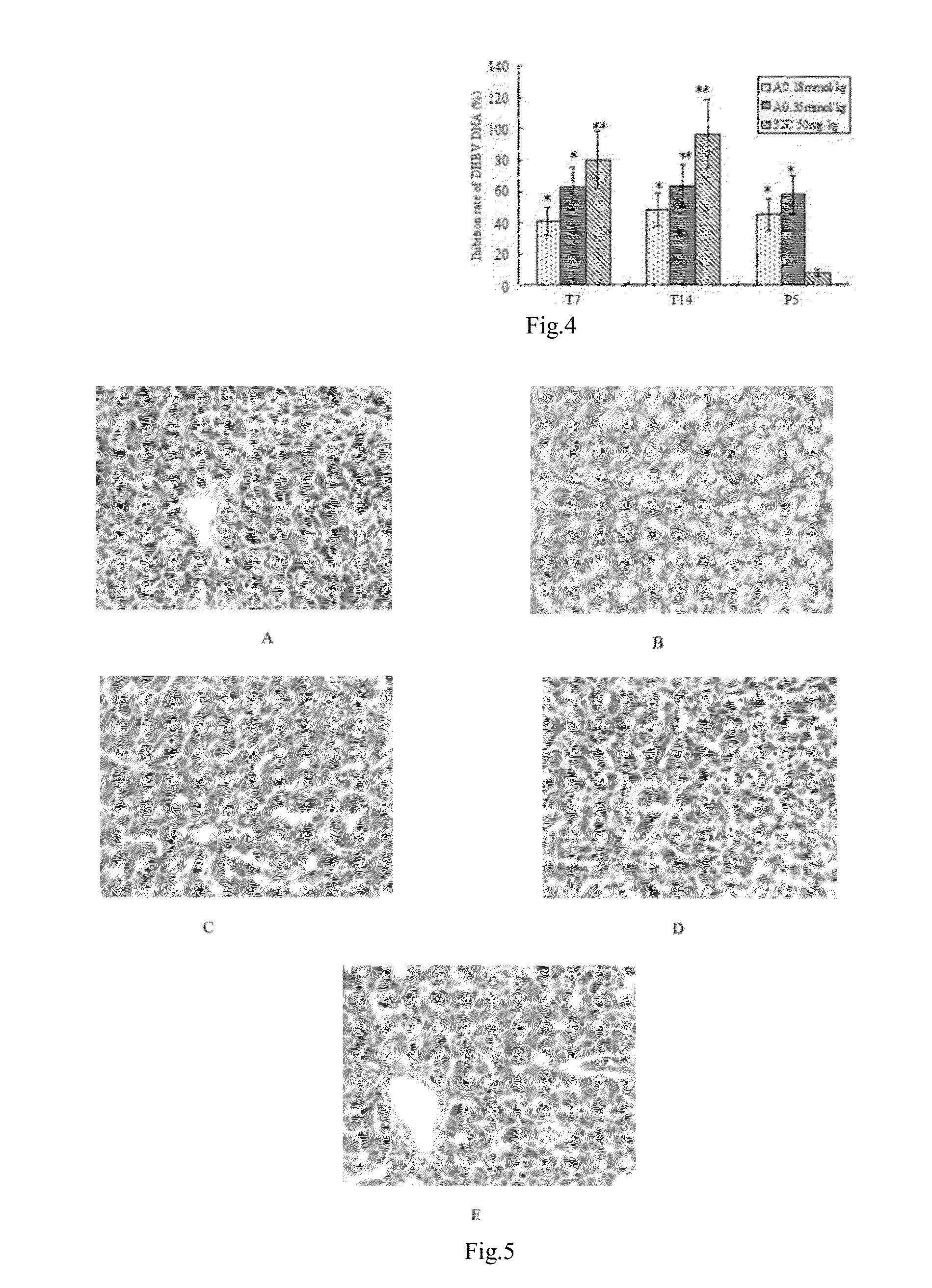 Uses of c15-substituted andrographolide derivatives in the preparation of Anti-hepatitis b virus medicament