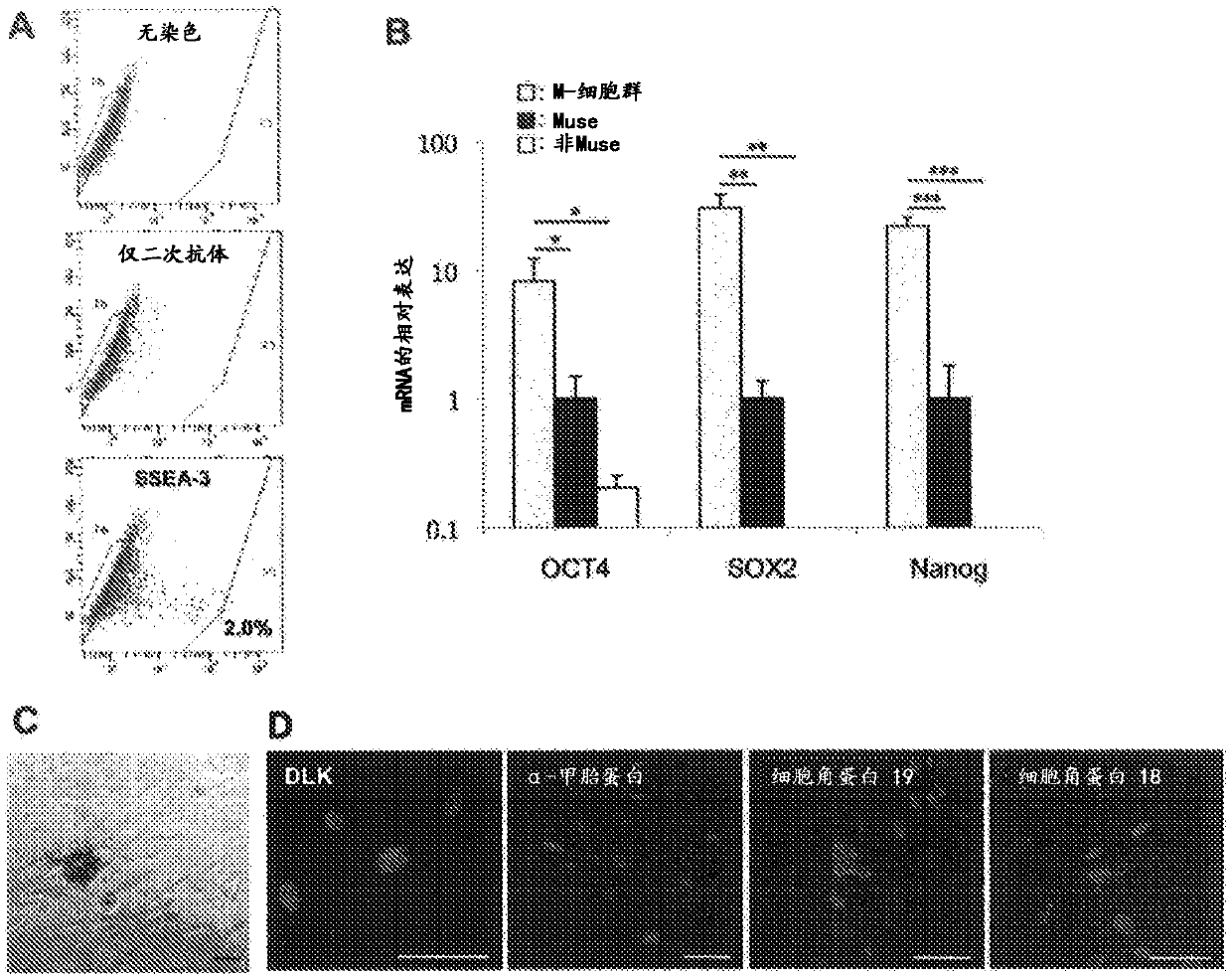 Prophylactic or therapeutic agent for organ fibrosis