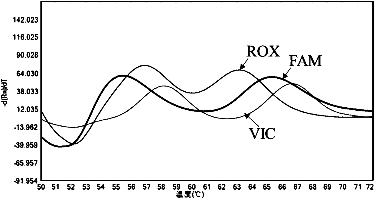 Human MTHFR and MTRR gene detection kit and application thereof