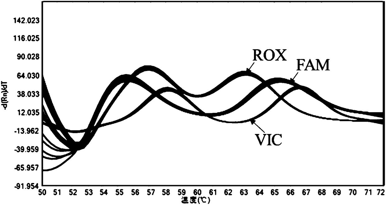 Human MTHFR and MTRR gene detection kit and application thereof