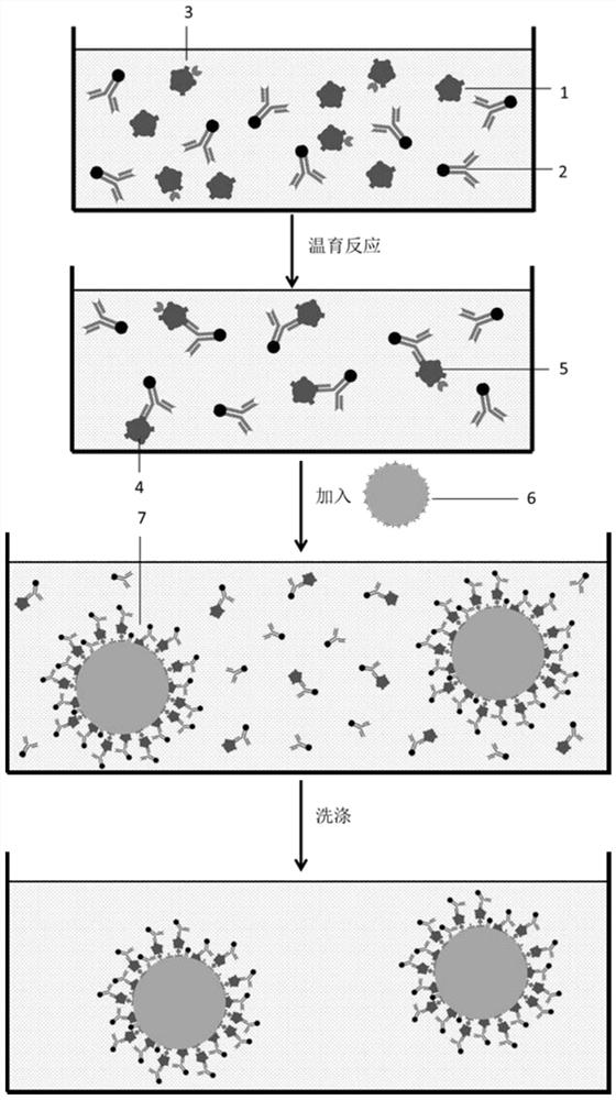 A metal ion-labeled immunoreaction single-pulse detection method