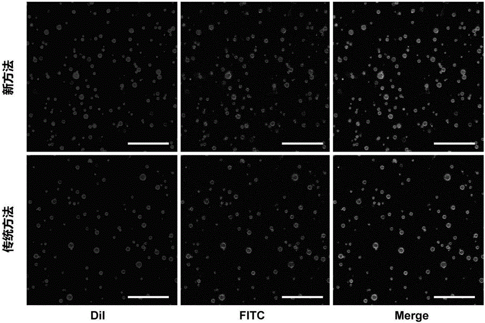 Preparation method of single chain antibody-modified targeting micro-bubble ultrasonic contrast agent