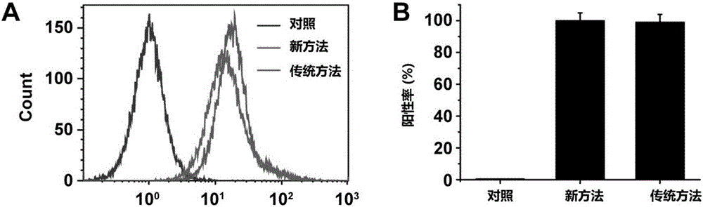 Preparation method of single chain antibody-modified targeting micro-bubble ultrasonic contrast agent