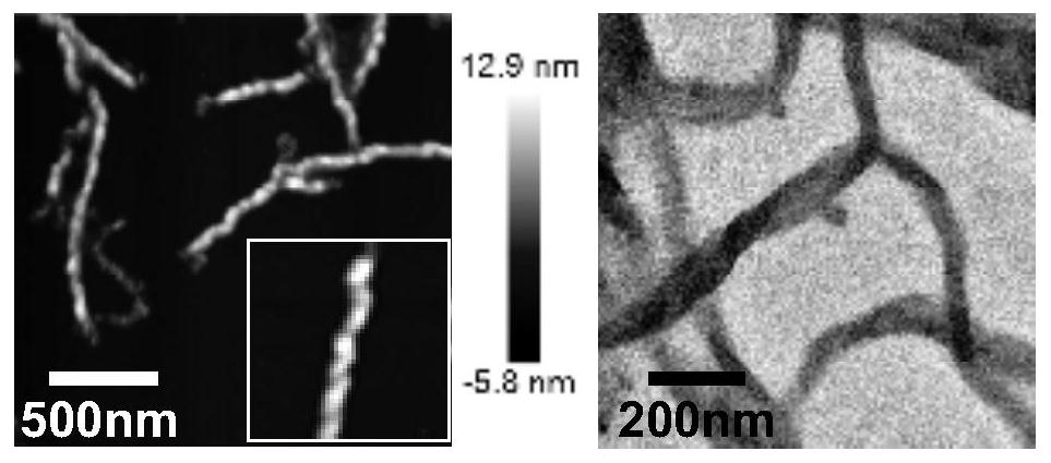 Helical structure block copolymer semiconductor nanowire preparation method and use thereof