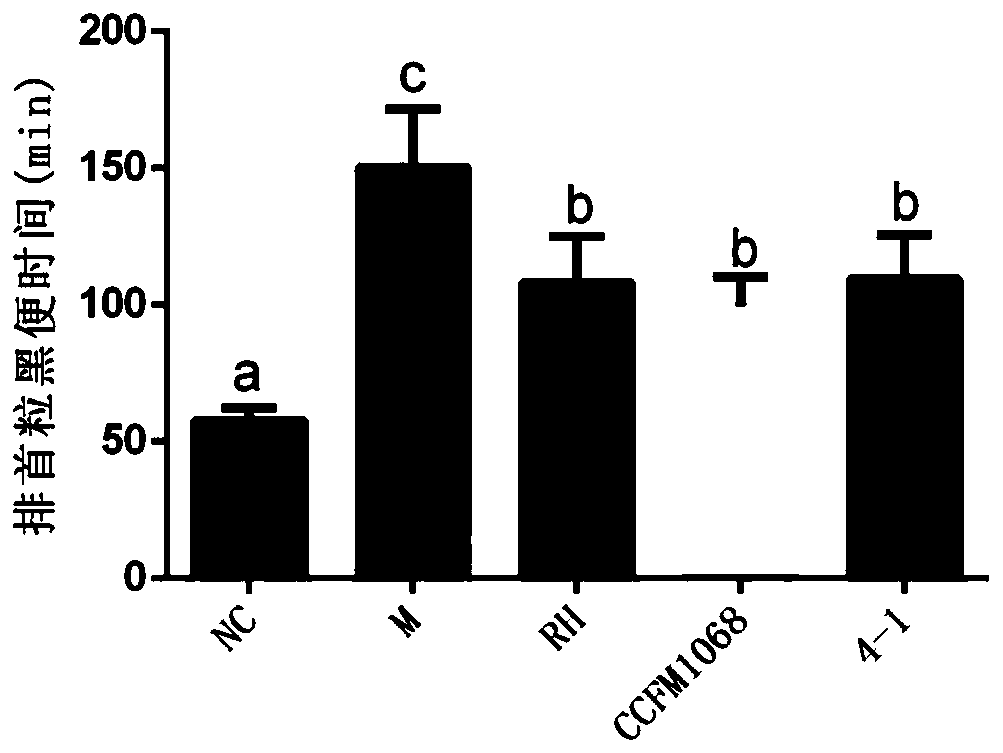 Lactobacillus rhamnosus CCFM1068 and application thereof