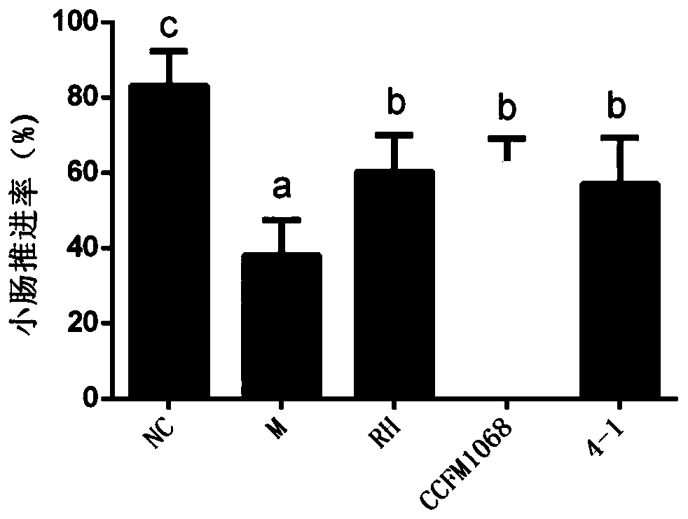 Lactobacillus rhamnosus CCFM1068 and application thereof