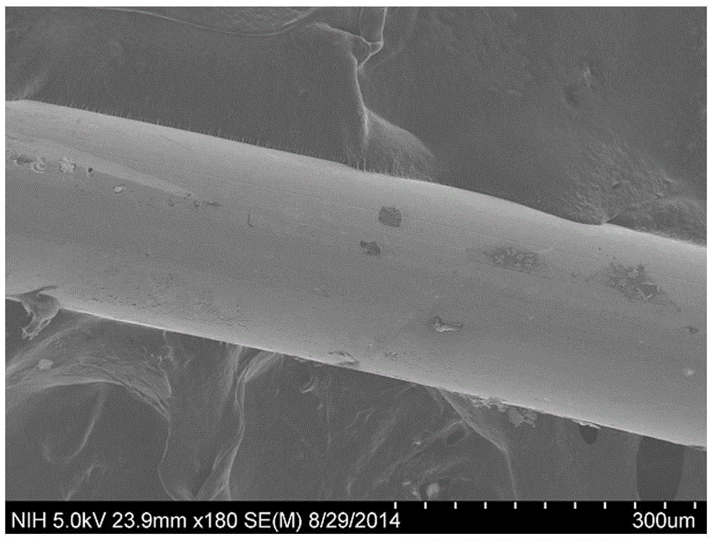 Nano gold film memory alloy esophageal stent and preparation method thereof