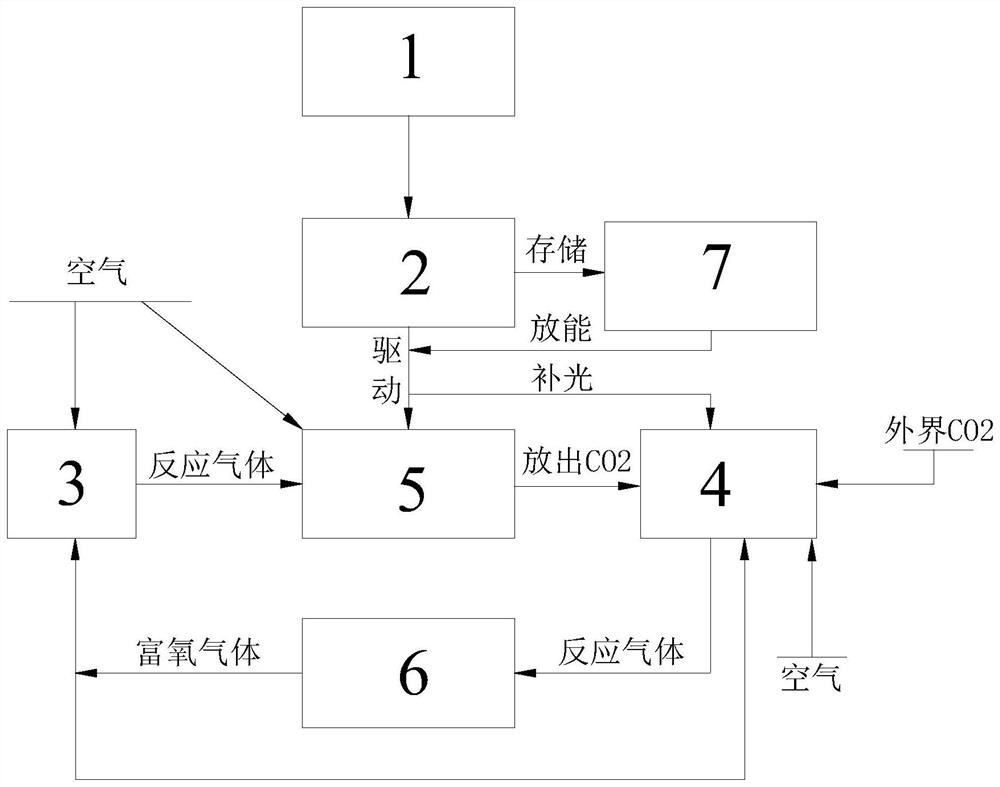 Carbon sequestration unit gas circulation exchange system