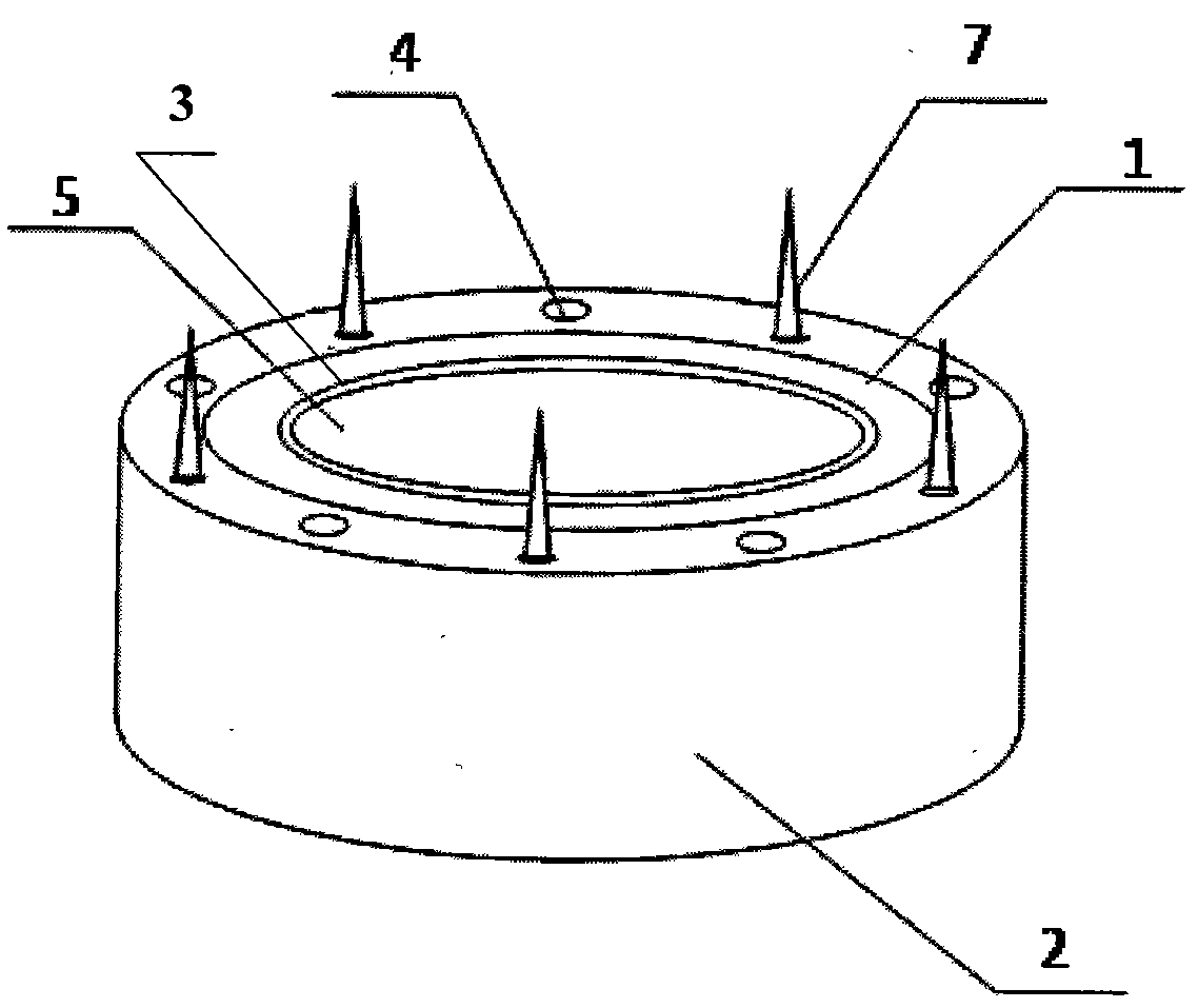 Magnetic device applied to anastomosis of large and medium blood vessels