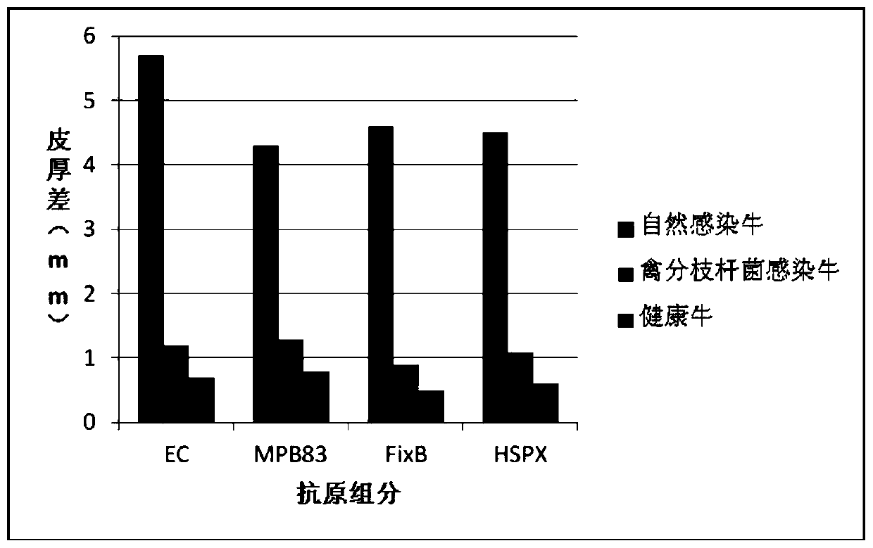 Cocktail antigen for detection of allergic reaction of bovine tuberculosis