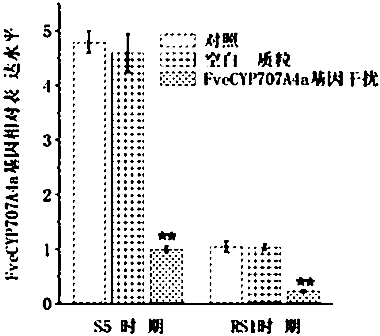 Fragaria X ananassa ABA degradation pathway key enzyme FveCYP707A4a gene and application thereof