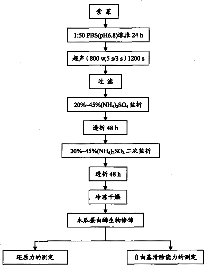 Bio-modification preparation method for improving activity of laver phycoerythrin