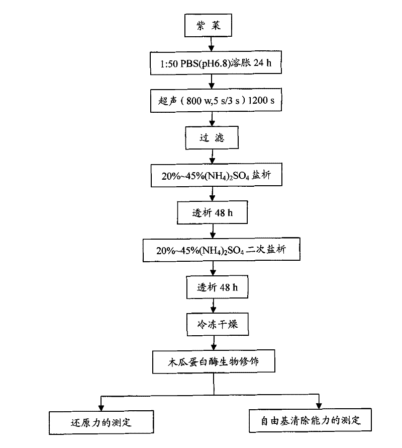 Bio-modification preparation method for improving activity of laver phycoerythrin