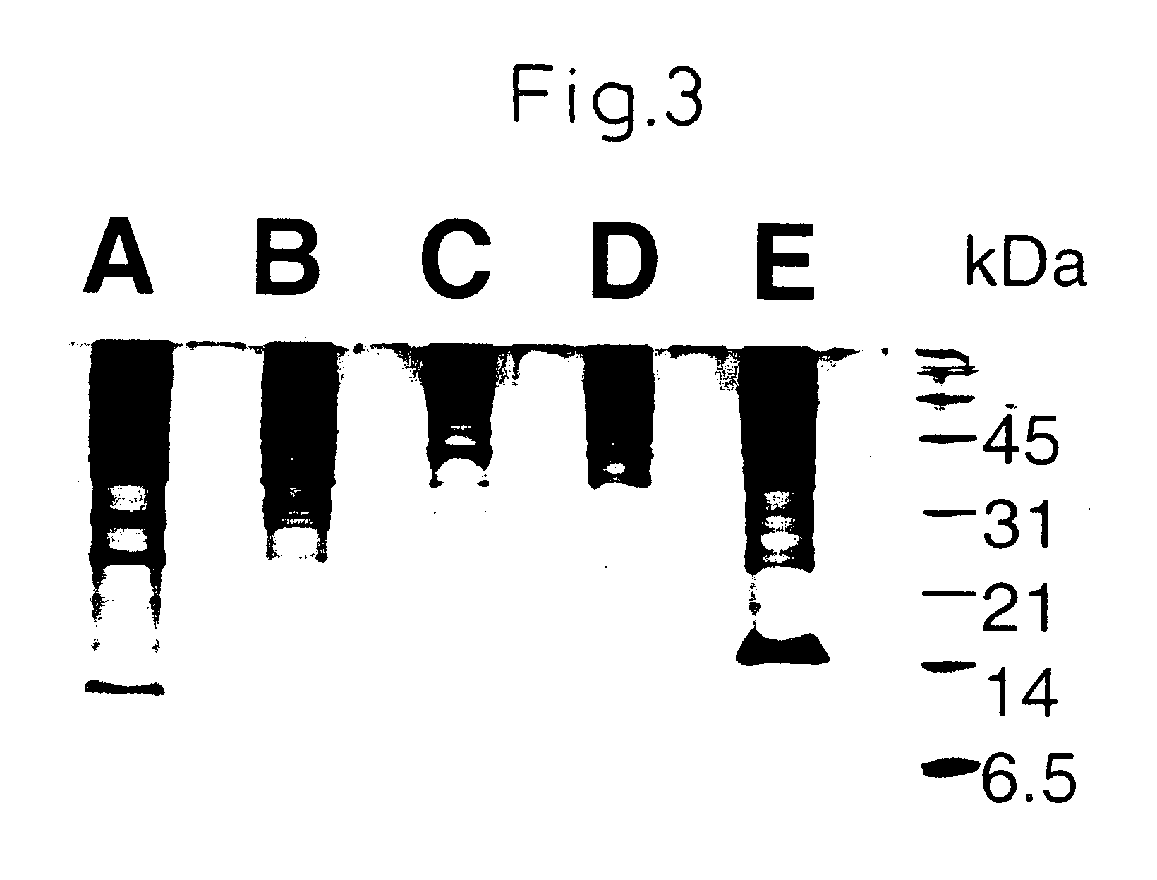 Search for cancer markers by a novel screening method