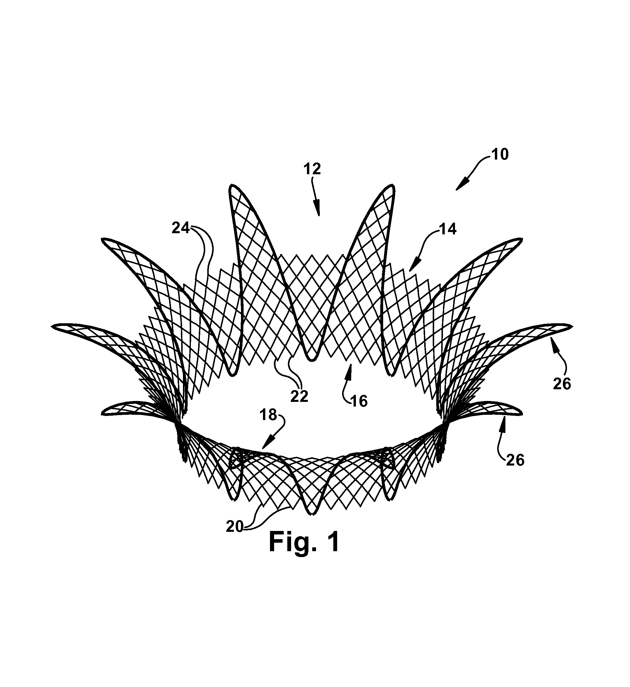 Apparatus and method for treating cardiovascular diseases