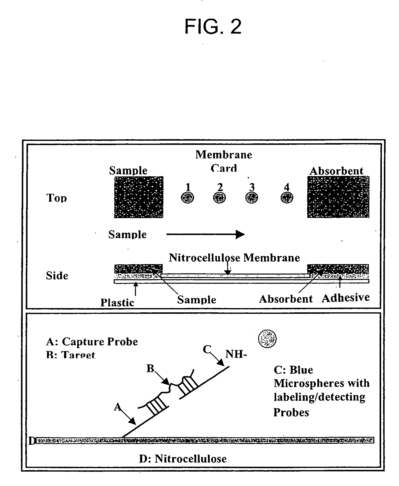 Nucleic Acid Detection System and Method for Detecting Influenza